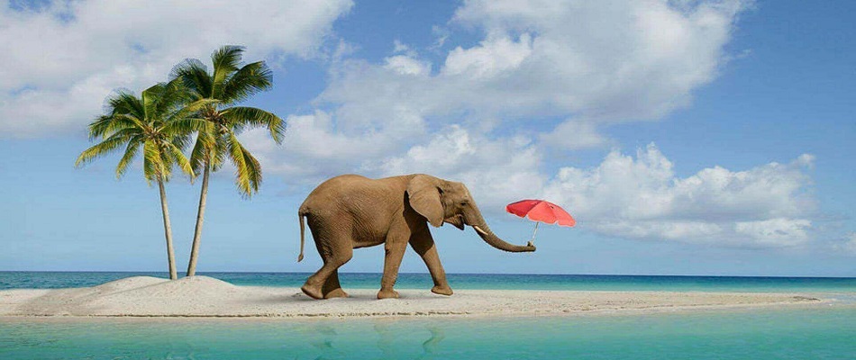 Andaman Honeymoon